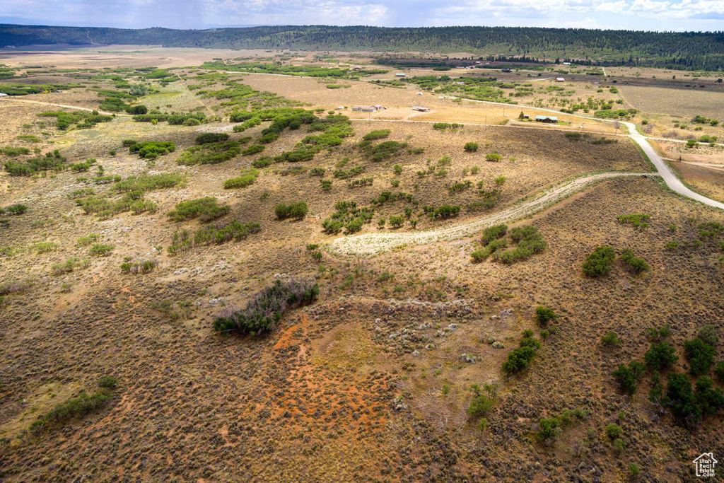 Drone / aerial view featuring a rural view