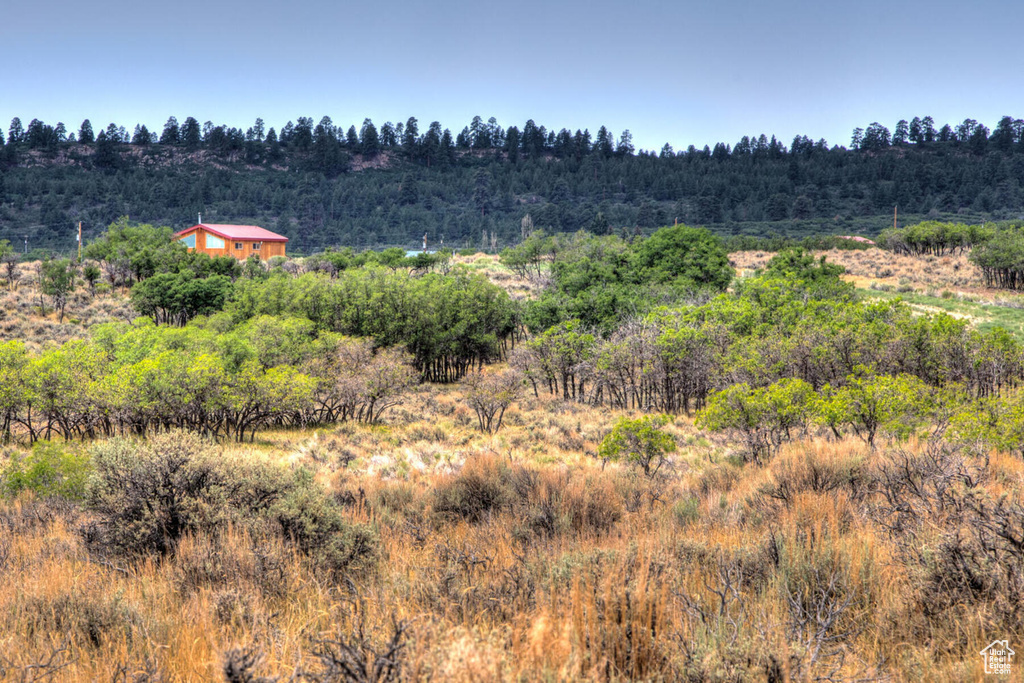 View of nature