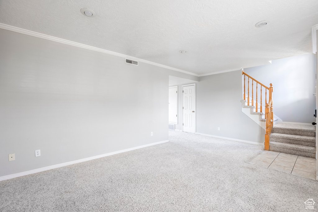 Empty room featuring crown molding, a textured ceiling, and light colored carpet