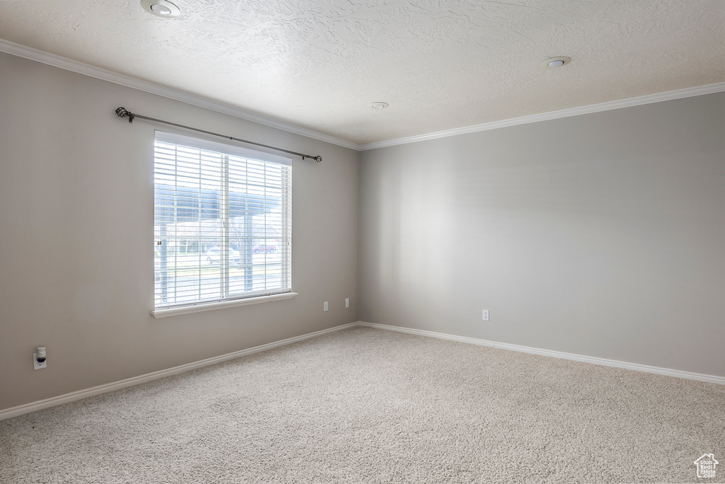 Spare room featuring ornamental molding, a textured ceiling, and carpet