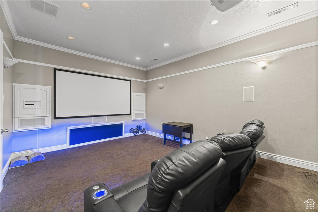 Carpeted cinema with crown molding and a textured ceiling
