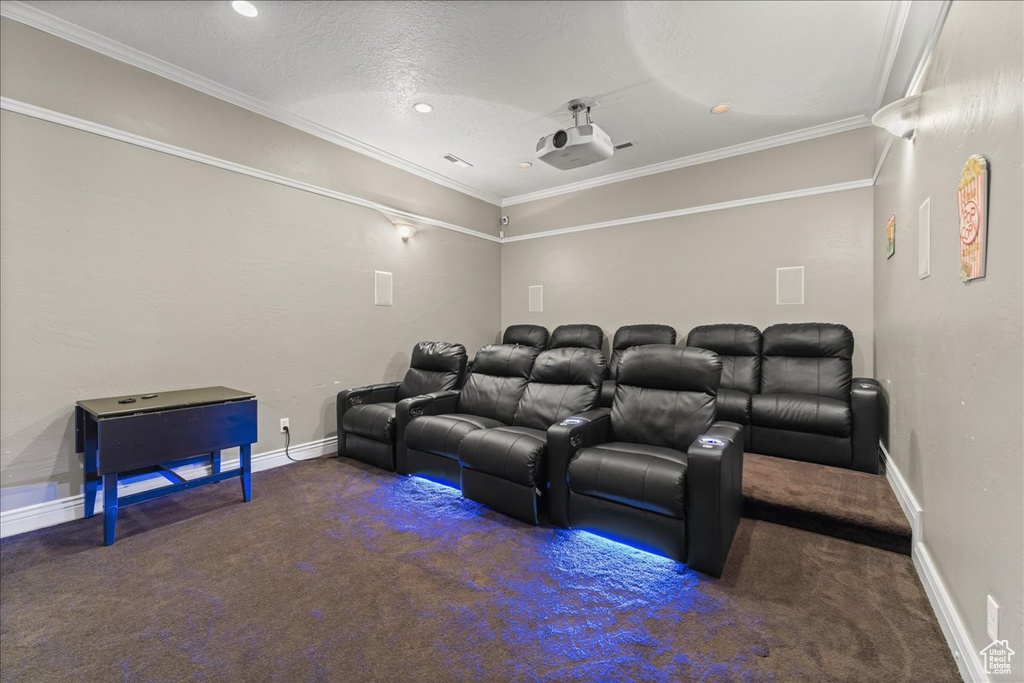 Carpeted home theater room with crown molding and a textured ceiling