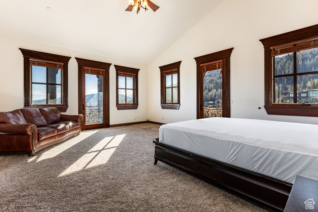 Carpeted bedroom with ceiling fan and high vaulted ceiling