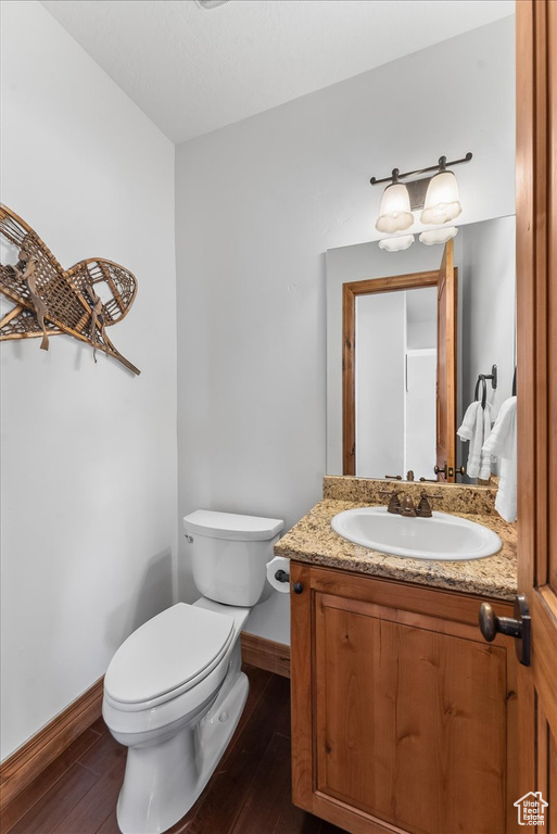 Bathroom with toilet, large vanity, and hardwood / wood-style floors