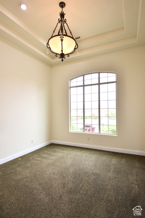 Carpeted spare room with a raised ceiling and a wealth of natural light