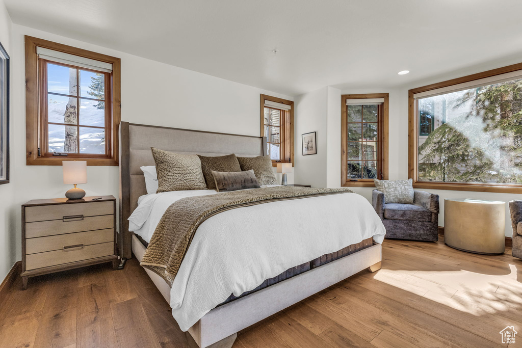 Bedroom featuring multiple windows and wood-type flooring