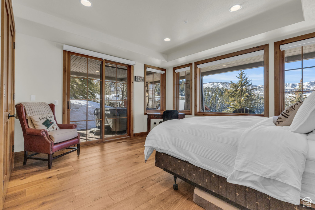 Bedroom featuring access to exterior, a raised ceiling, light hardwood / wood-style floors, and multiple windows