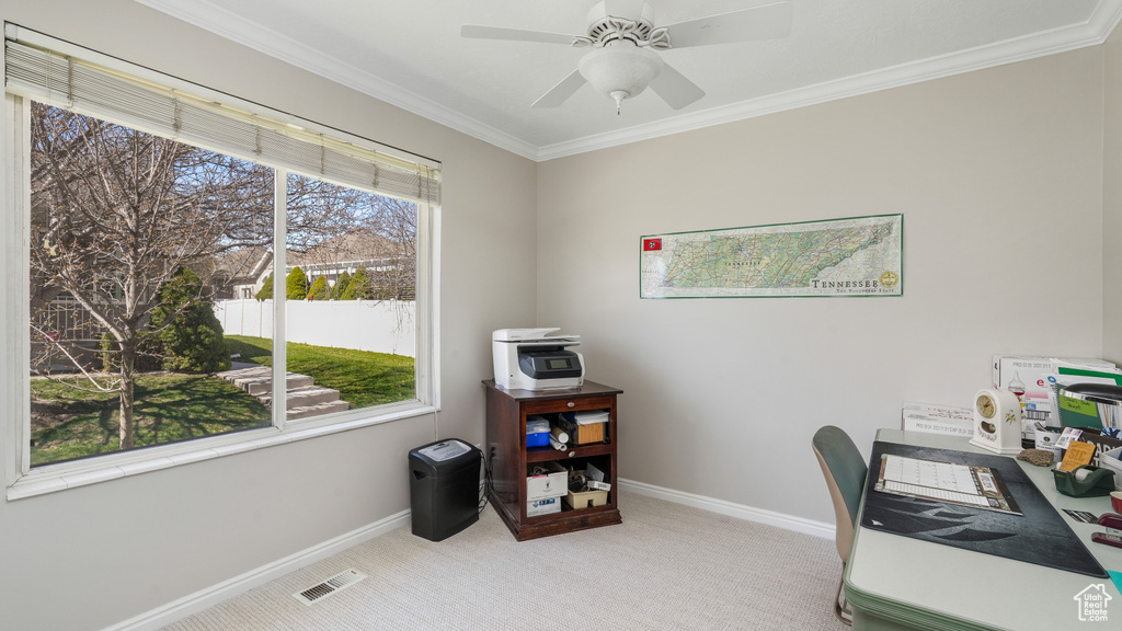 Carpeted office with ceiling fan and crown molding