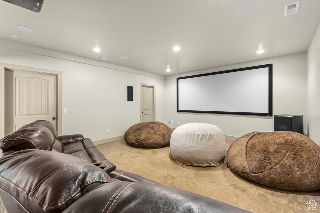 Cinema room with carpet flooring