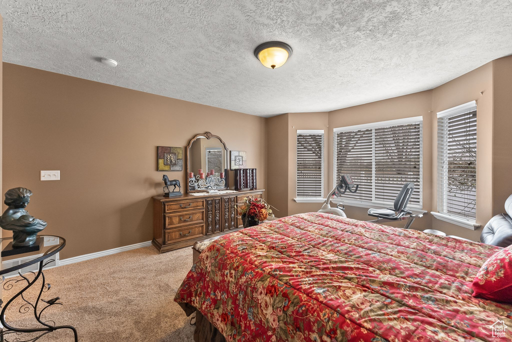 Bedroom with a textured ceiling and carpet