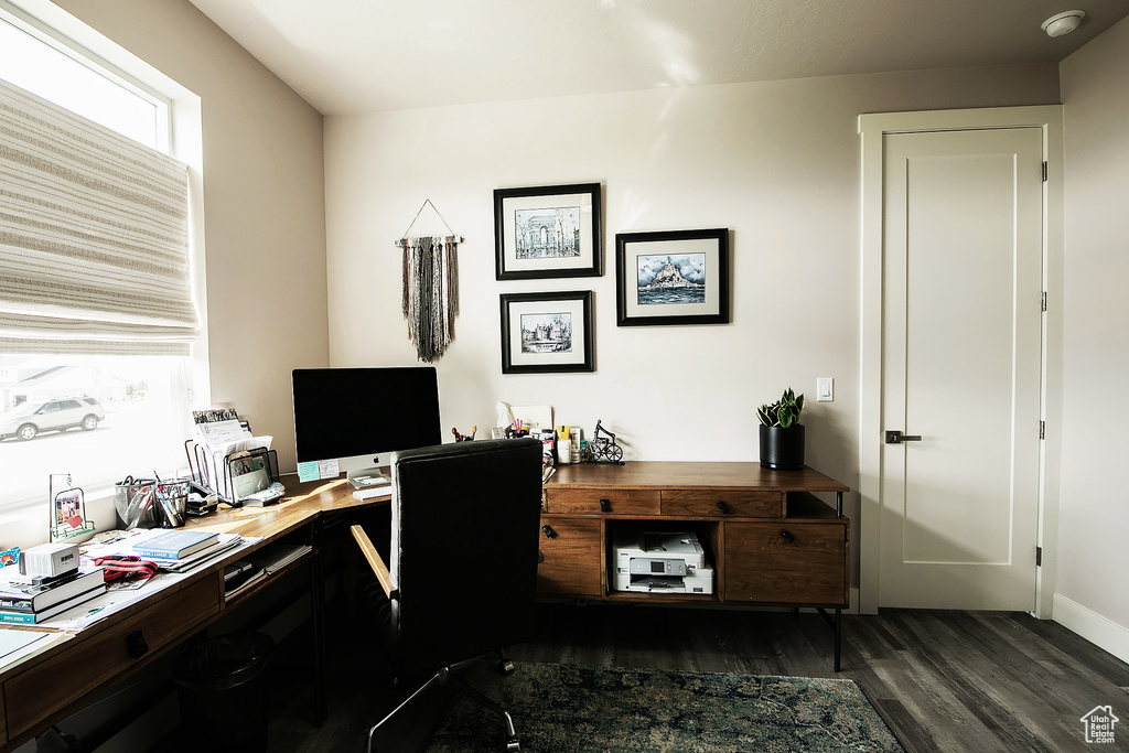 Office featuring dark hardwood / wood-style floors