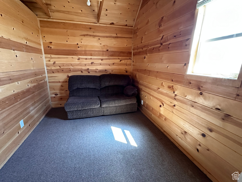 Unfurnished room featuring wooden walls, dark carpet, and a healthy amount of sunlight