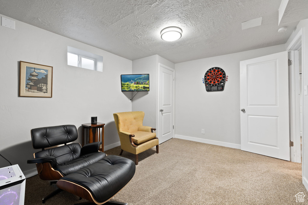 Sitting room featuring a textured ceiling and light colored carpet