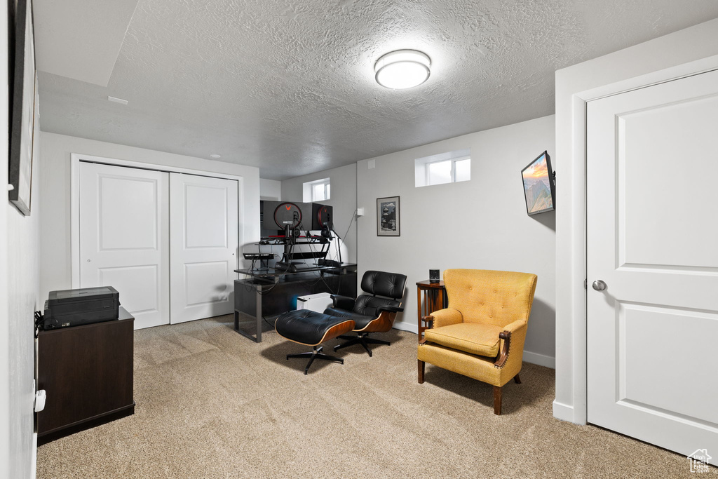 Office area featuring light carpet and a textured ceiling