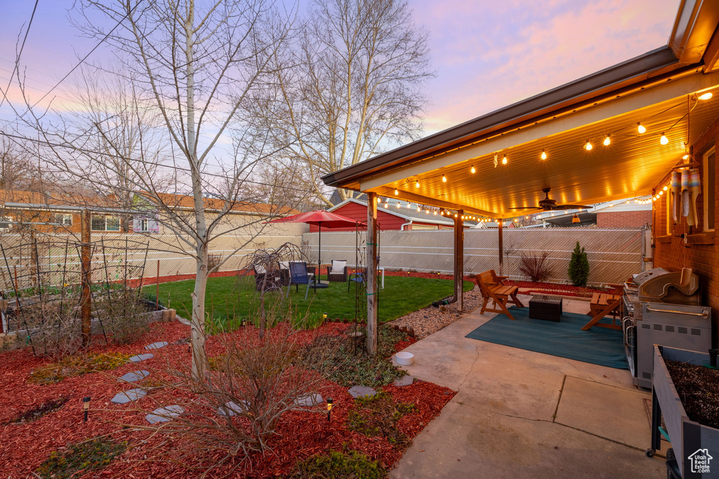 Yard at dusk featuring a patio area