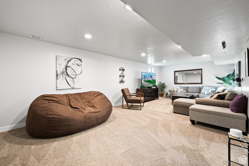 Living room featuring light carpet and a textured ceiling