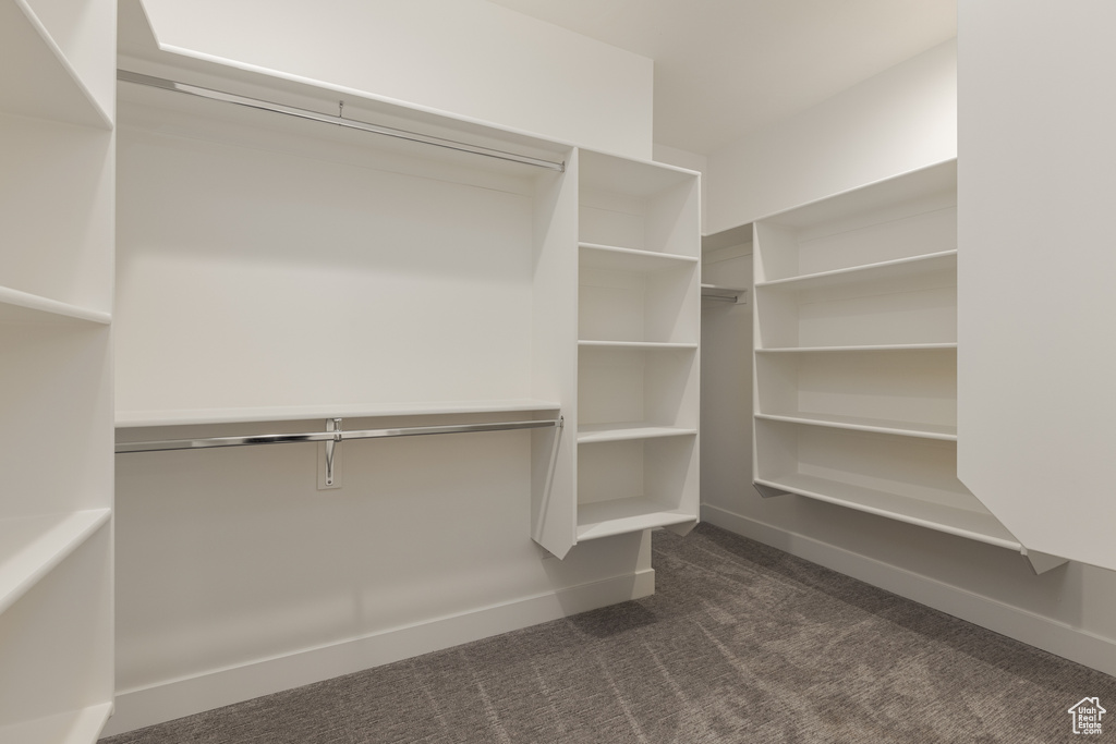 Spacious closet featuring dark colored carpet