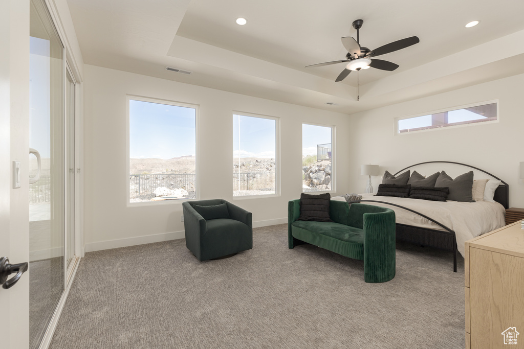 Bedroom with multiple windows, carpet, and a raised ceiling