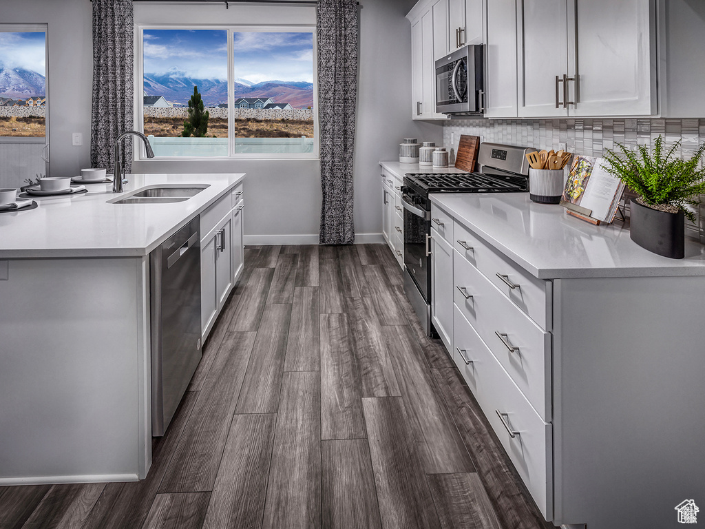 Kitchen with sink, a mountain view, dark hardwood / wood-style flooring, white cabinets, and appliances with stainless steel finishes
