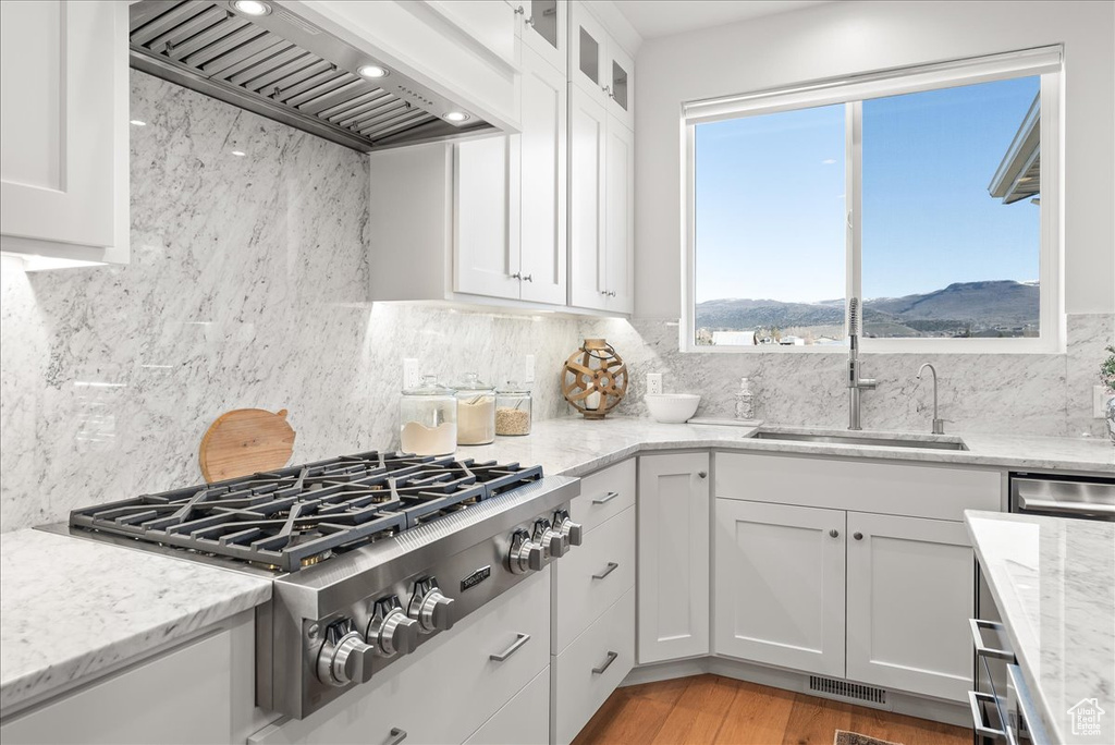 Kitchen featuring a mountain view, light hardwood / wood-style flooring, custom exhaust hood, tasteful backsplash, and white cabinetry