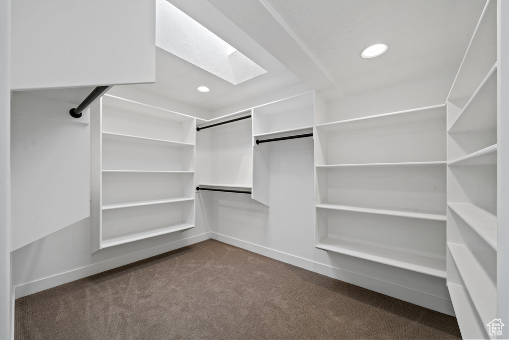 Spacious closet featuring a skylight and dark carpet