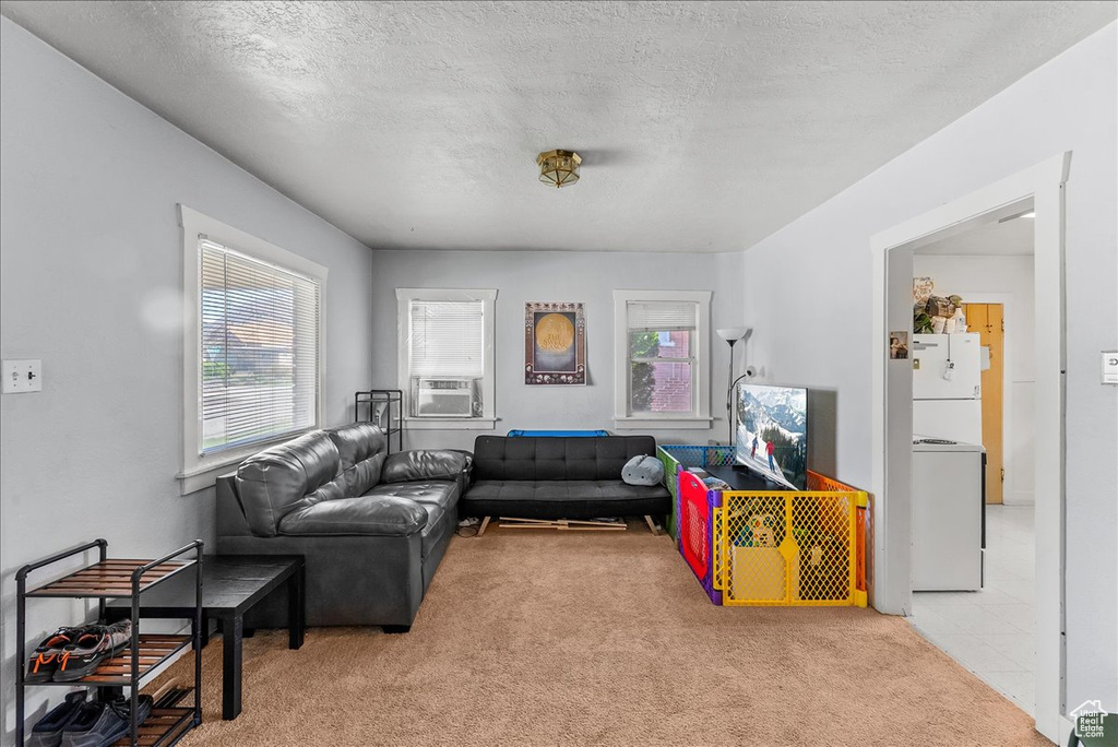 Living room featuring light colored carpet, washer / clothes dryer, and a textured ceiling
