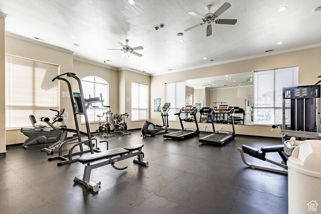 Gym featuring ornamental molding, ceiling fan, and a wealth of natural light