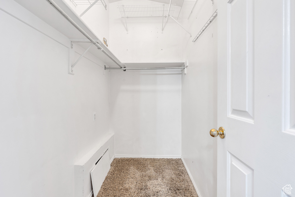 Spacious closet with carpet floors