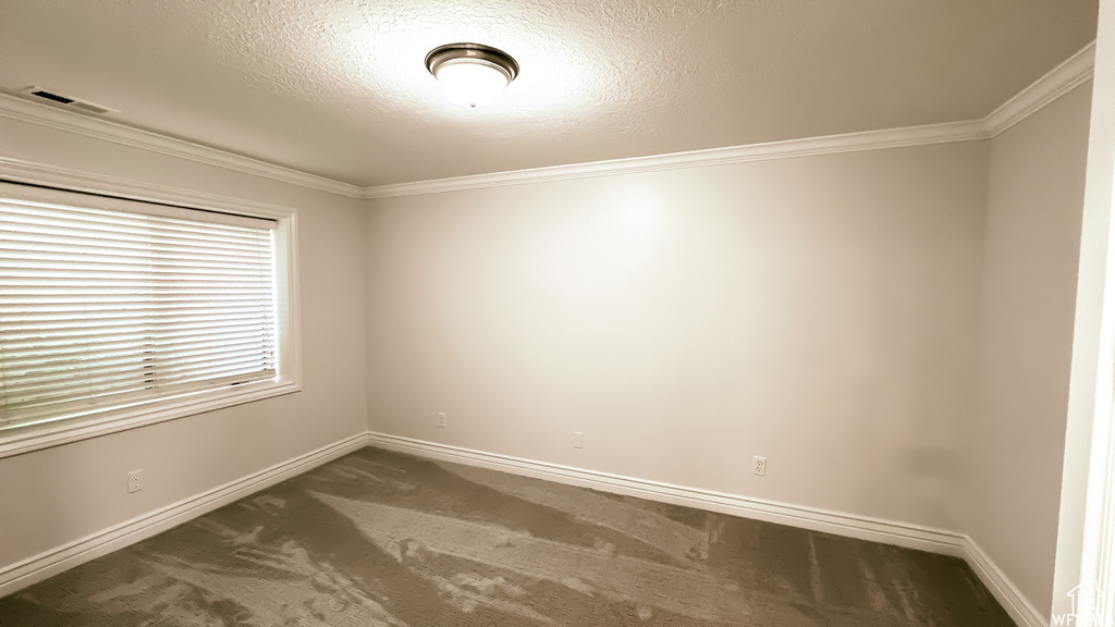 Carpeted empty room with crown molding and a textured ceiling