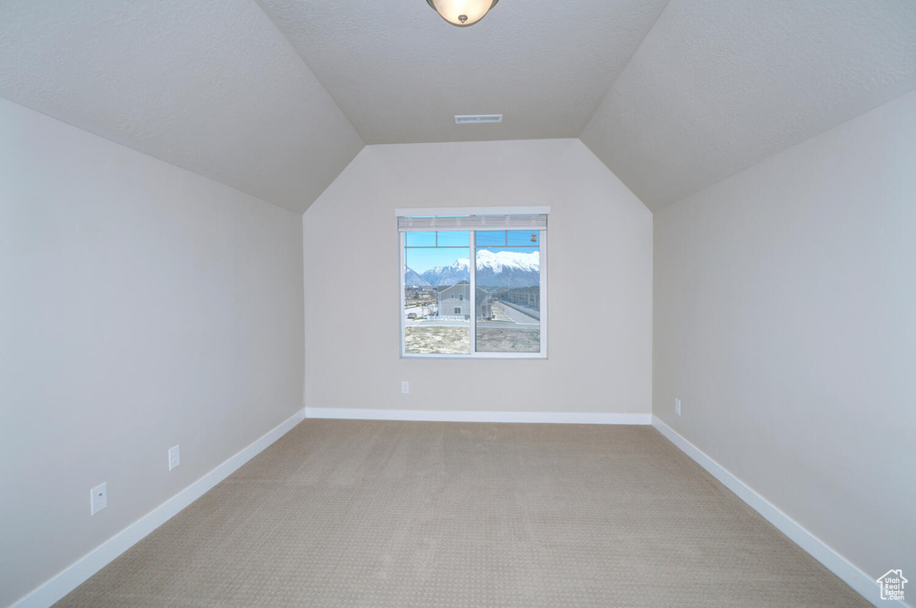 Bonus room featuring a textured ceiling, light colored carpet, and lofted ceiling