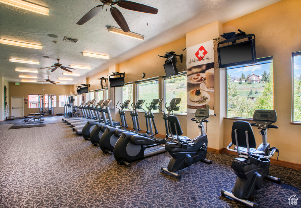 Workout area with a textured ceiling, ceiling fan, and dark colored carpet