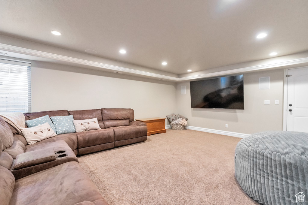 Carpeted living room featuring a tray ceiling