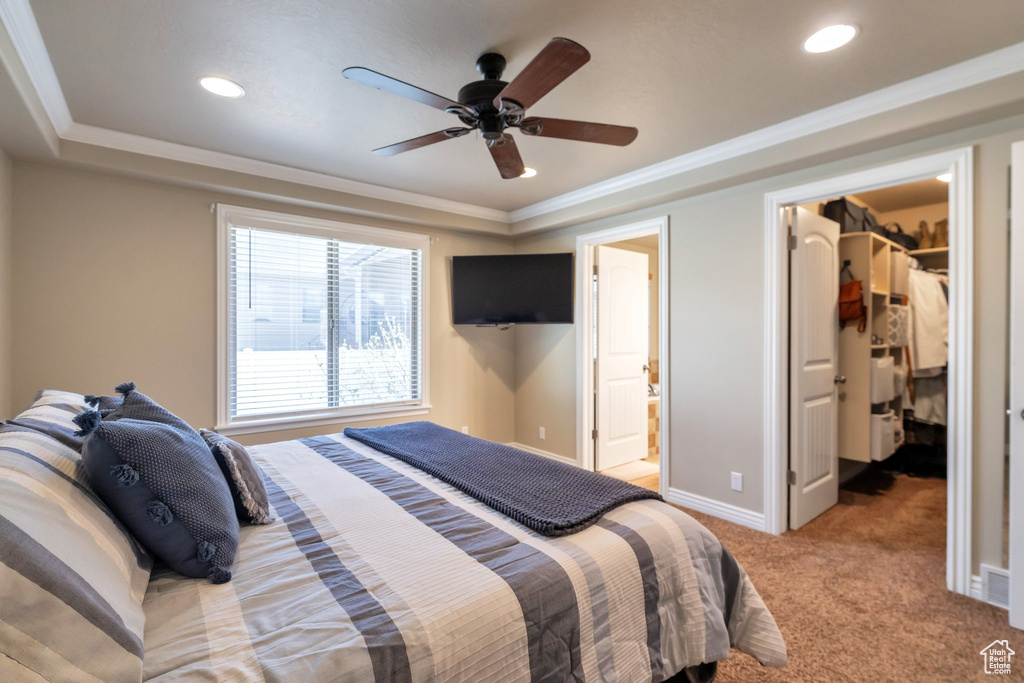 Carpeted bedroom with connected bathroom, a spacious closet, crown molding, and ceiling fan