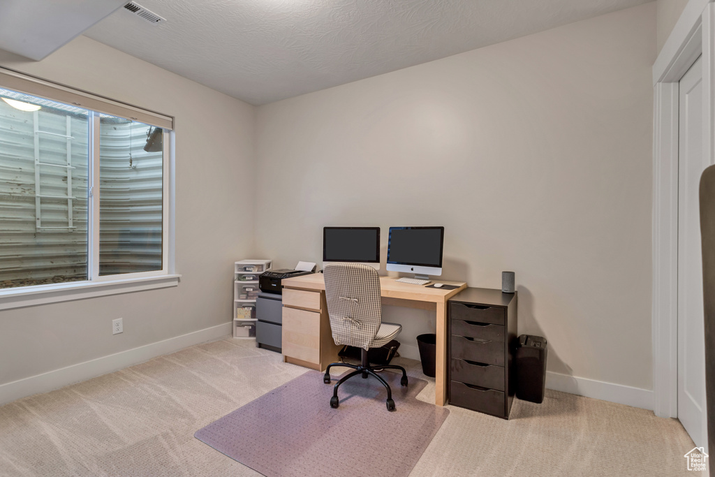 Carpeted office space featuring a wealth of natural light