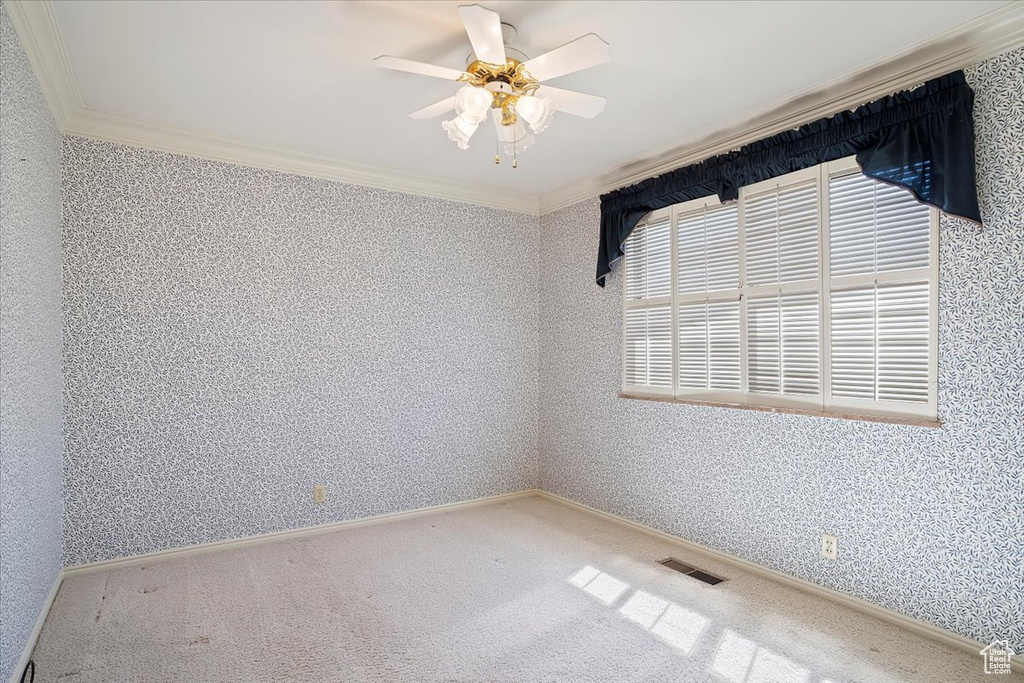 Empty room featuring ceiling fan, carpet flooring, and ornamental molding