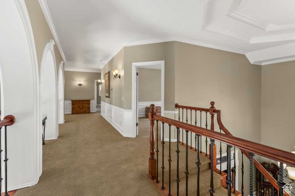Hallway with ornamental molding, a tray ceiling, and light carpet