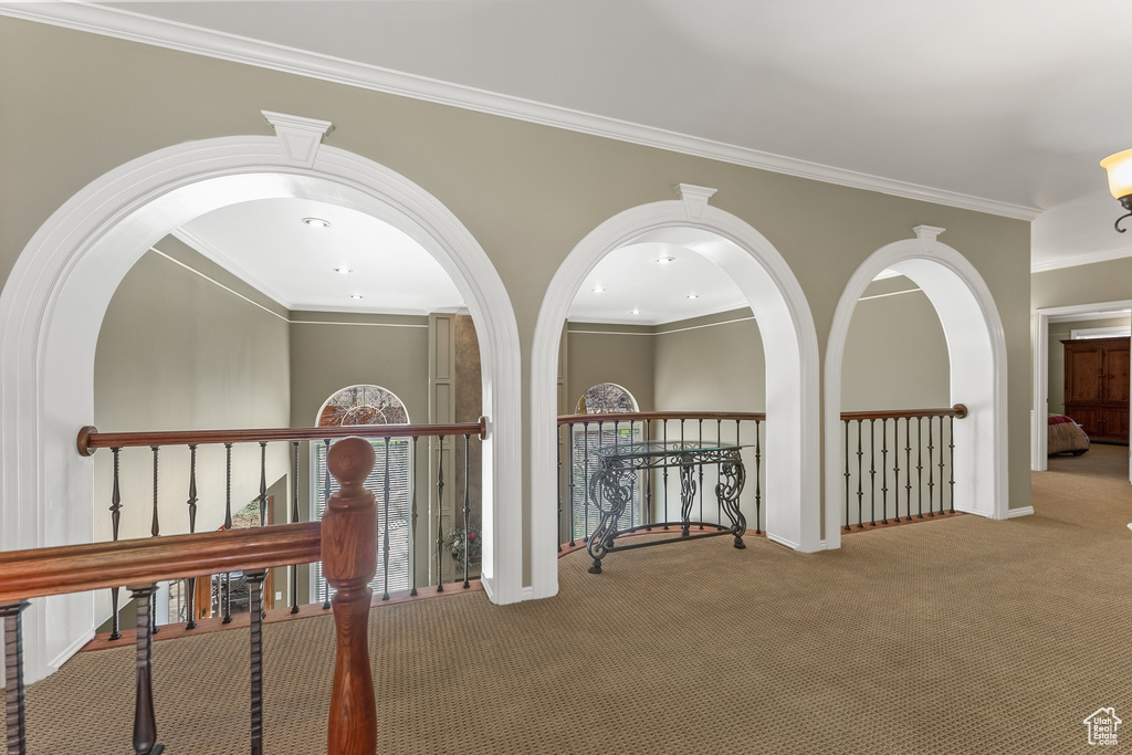 Hall with crown molding and light colored carpet