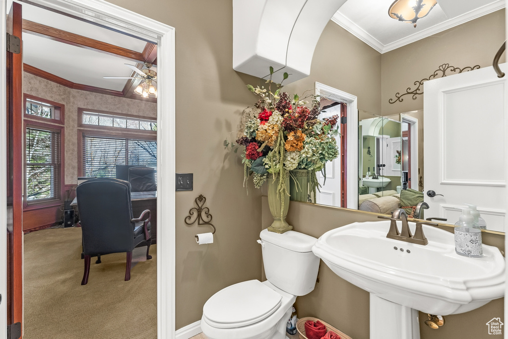 Bathroom with ceiling fan, crown molding, toilet, and sink