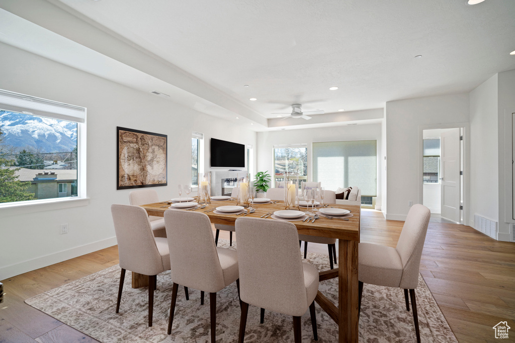 Dining area featuring ceiling fan and light hardwood / wood-style flooring