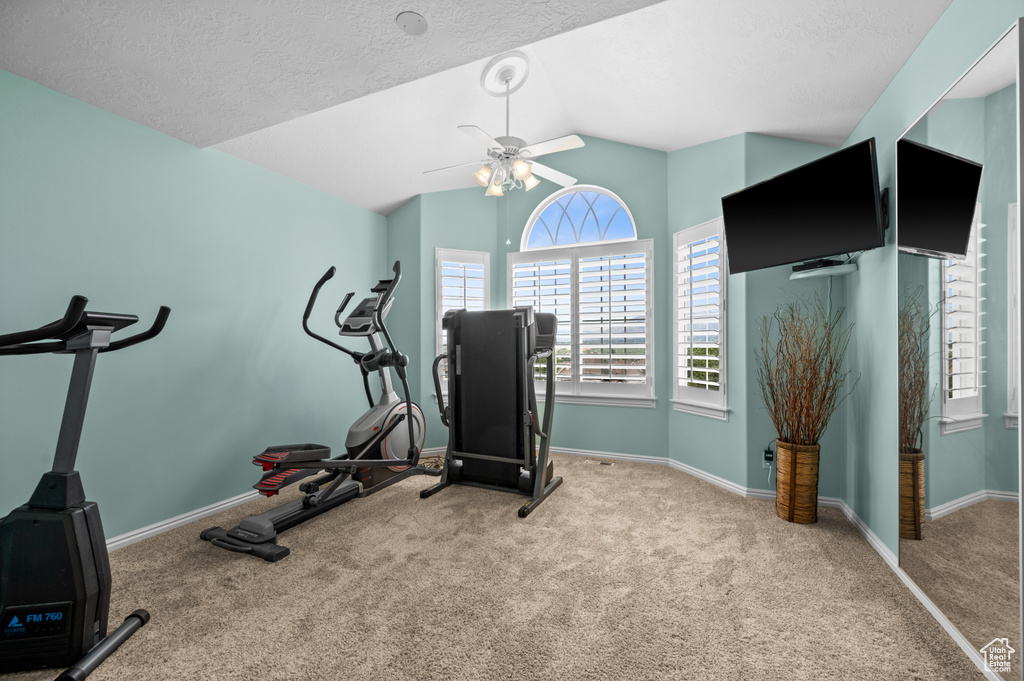 Workout area featuring lofted ceiling, light carpet, ceiling fan, and a textured ceiling