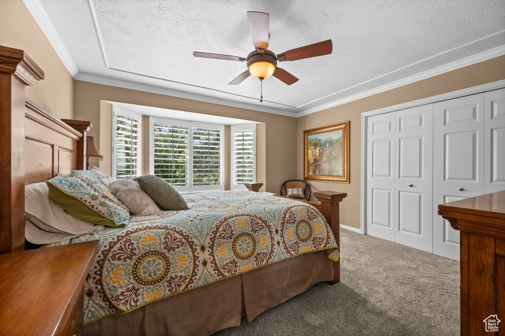 Carpeted bedroom with ornamental molding, a textured ceiling, a closet, and ceiling fan