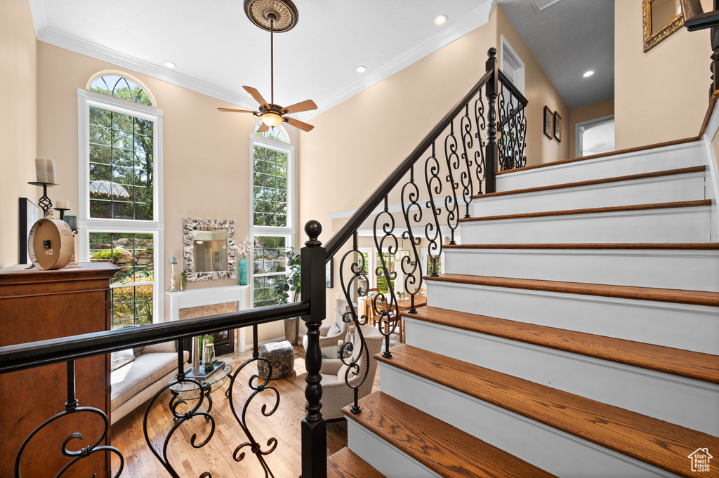 Staircase featuring plenty of natural light, crown molding, wood-type flooring, and ceiling fan