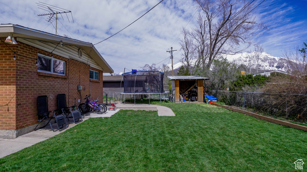 View of yard with a patio and a trampoline