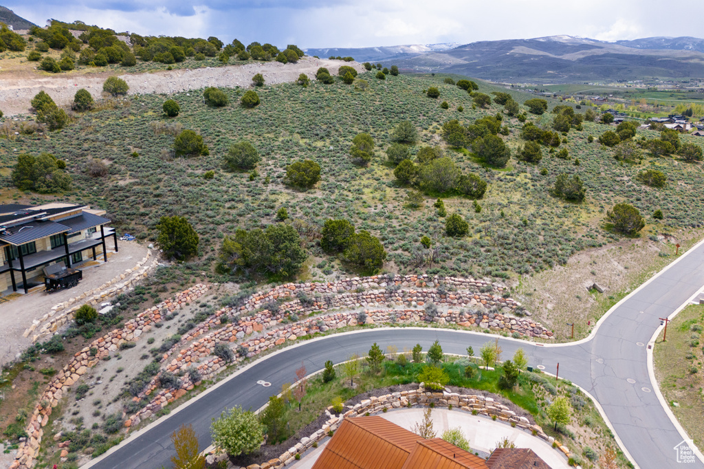 Aerial view with a mountain view