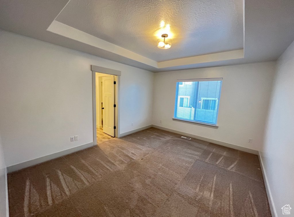 Unfurnished room featuring a textured ceiling, light carpet, and a raised ceiling