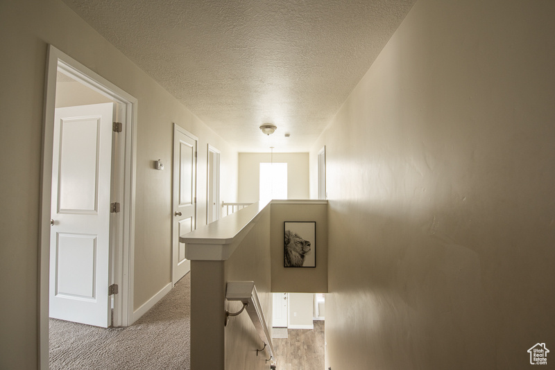 Hallway featuring carpet floors and a textured ceiling