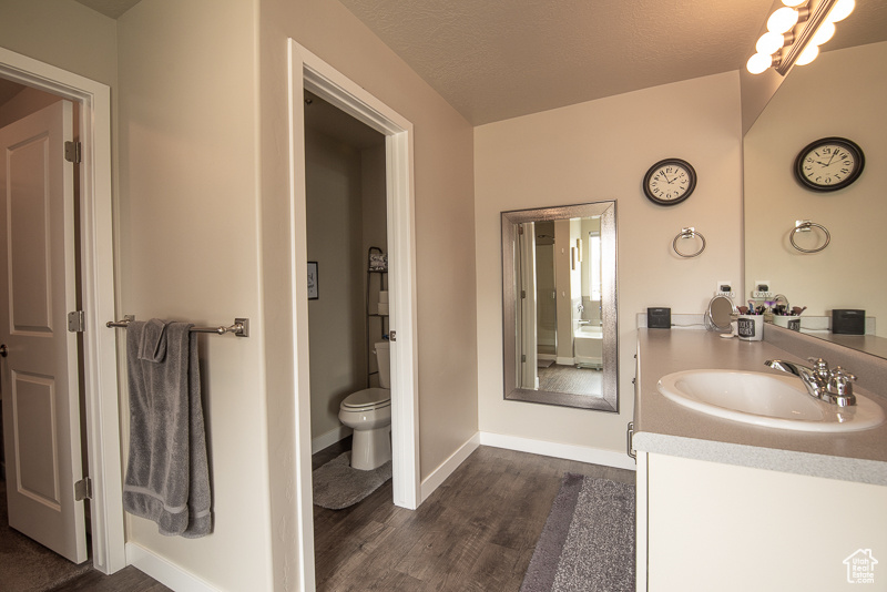 Bathroom featuring hardwood / wood-style floors, toilet, and large vanity