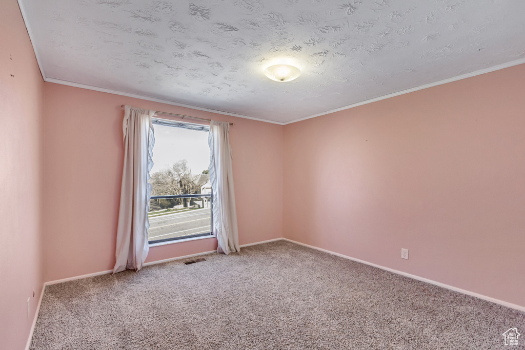 Carpeted spare room featuring a textured ceiling and ornamental molding