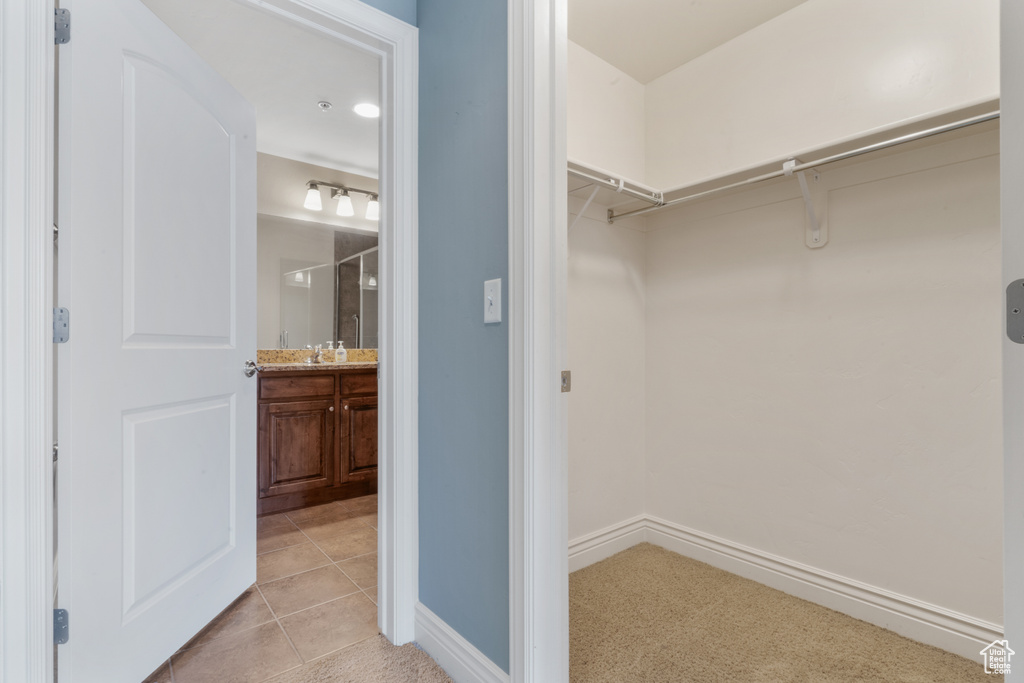 Spacious closet featuring sink and light colored carpet