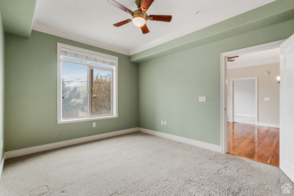 Empty room with ceiling fan, ornamental molding, and light wood-type flooring